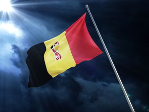 开云APP-DK轻取C9，莫德里奇一己之力扛起全队激烈交锋四强赛，技惊四座