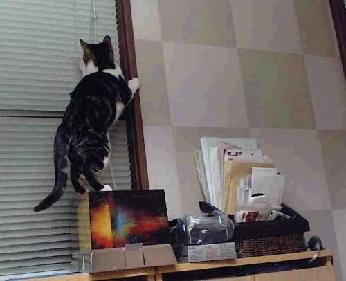 热火灼穿奇才！巴特勒末节收割，希罗30分助迈阿密赢下关键卡位战