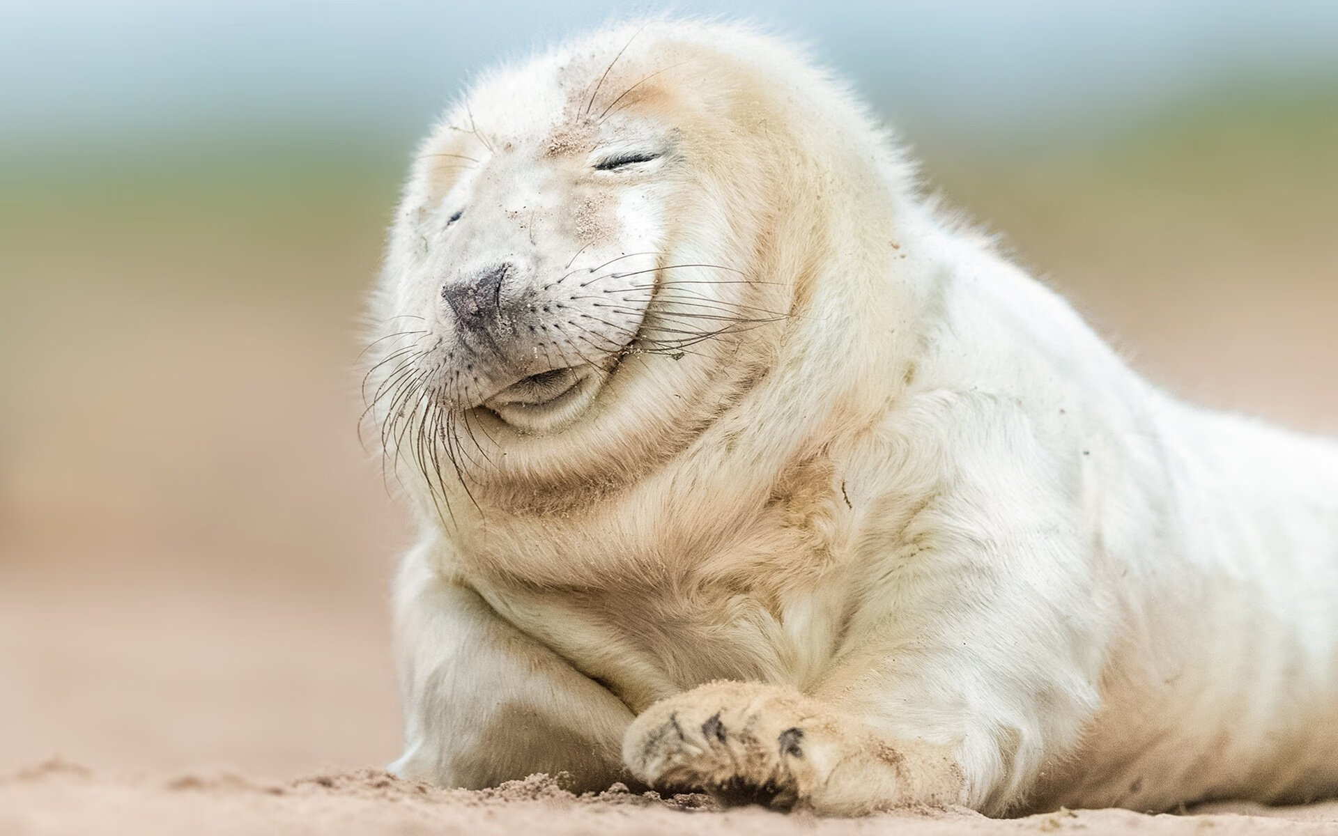 跨时空的战役，从伯纳乌的战术棋局到亚特兰大的青春风暴，体育战略如何主宰胜负