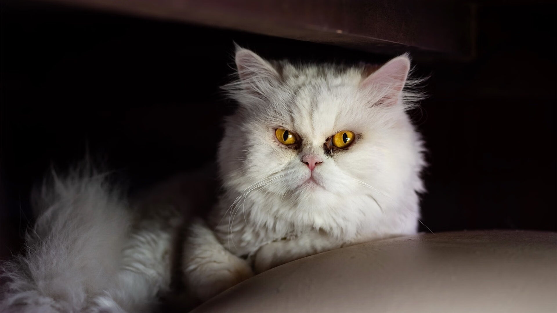 那不勒斯之夜，当门将成为主角，传统射门正被重写