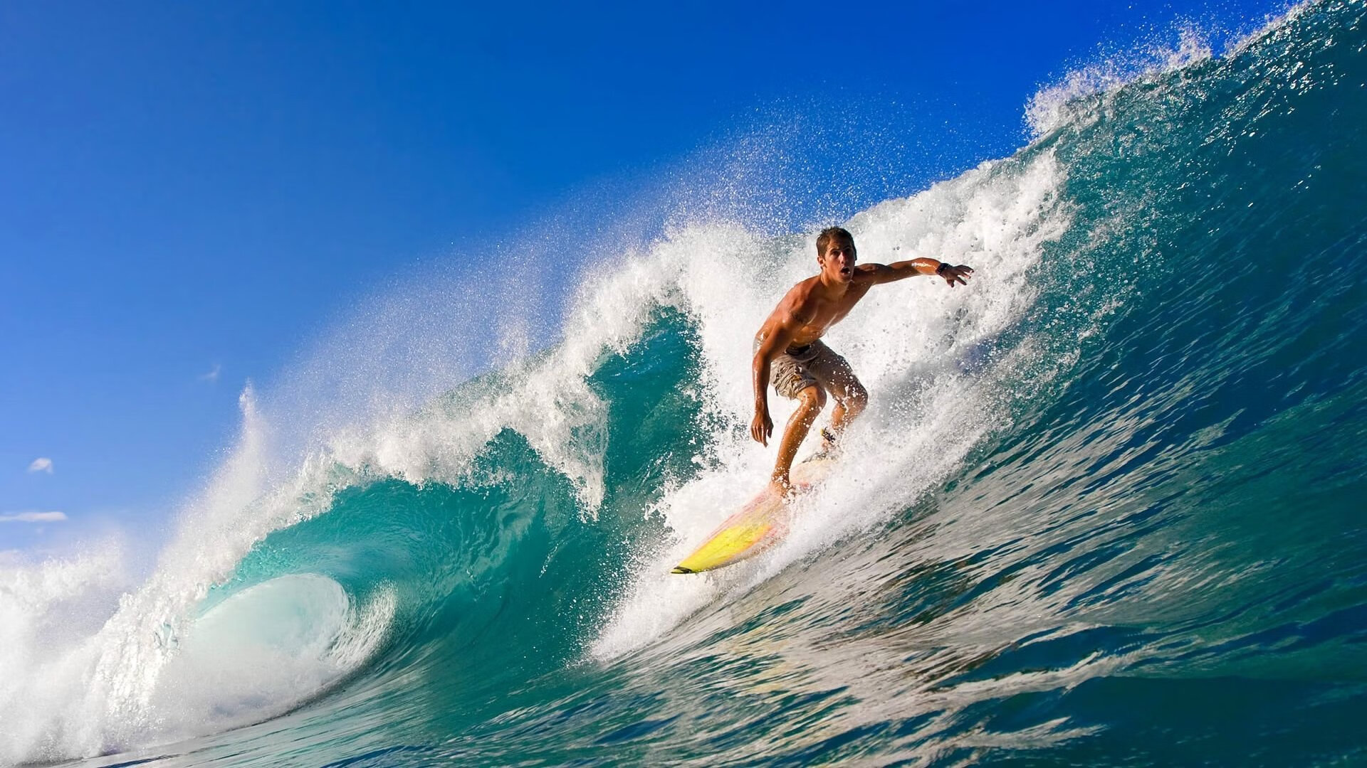 当东方巨龙遭遇外星来客，广东队鏖战淘汰篮网，文班亚马的完美演出与篮球的无限可能