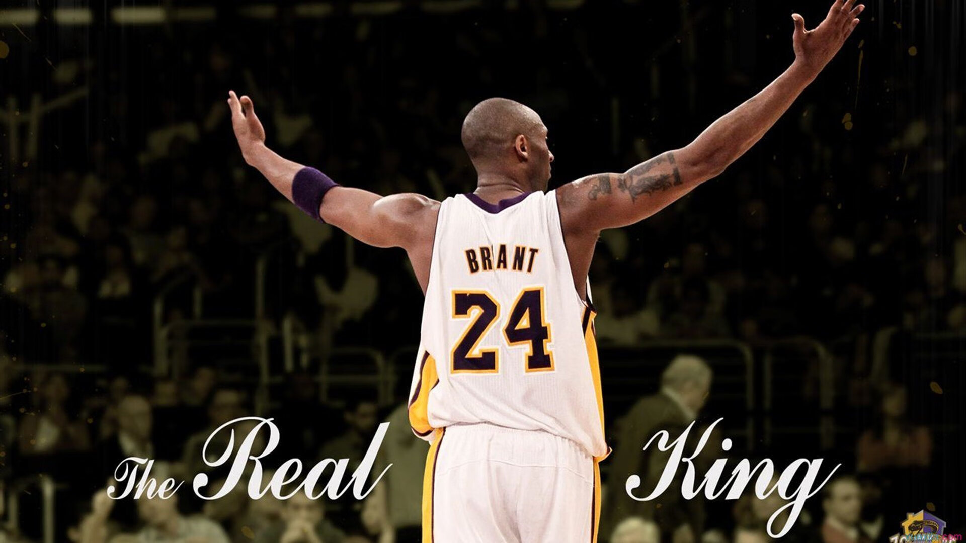 奥运关键夜，福克斯的攻防节奏撕裂赛场！